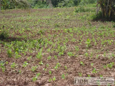 Terreno / Lote / Condomínio à venda, 6660000m² no , Cristalândia