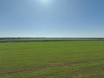 Fazenda / Sítio / Chácara com 5 Quartos à venda, 577m² no Campos do Iguaçu, Foz do Iguaçu