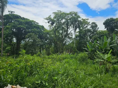 Terreno / Lote / Condomínio à venda, 900m² no Antonina, Antonina