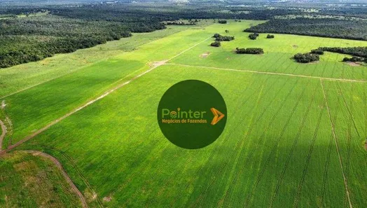 Fazenda / Sítio / Chácara à venda, 7000000m² no Parque Residencial Nova Fronteira, Gurupi