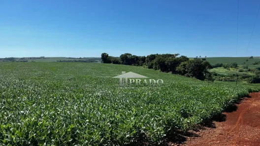Fazenda / Sítio / Chácara à venda, 188518m² no Seção Timbori, Uraí