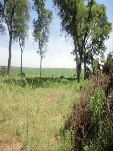 Terreno / Lote / Condomínio para alugar, 1m² no Estrela e Kanashiro, Araraquara