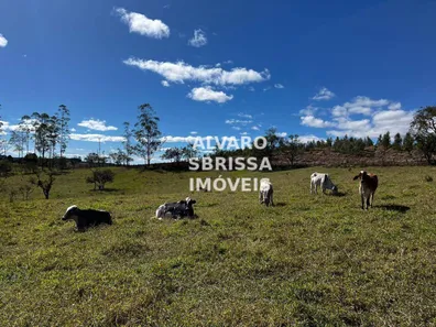 Fazenda / Sítio / Chácara com 4 Quartos à venda, 400m² no Santa Cecília, Pilar do Sul