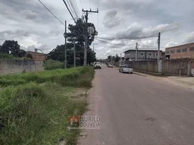 Terreno / Lote / Condomínio à venda, 15000m² no Eucaliptos, Fazenda Rio Grande