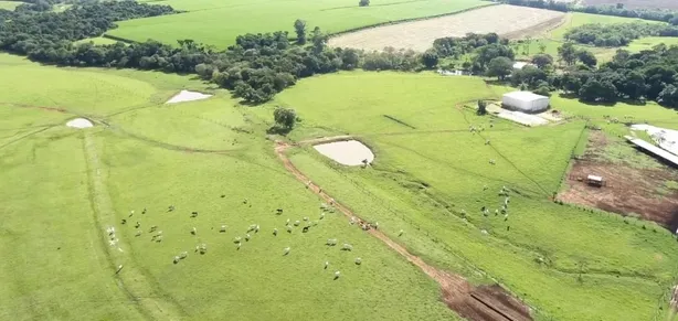 Fazenda / Sítio / Chácara com 5 Quartos à venda, 300m² no , Laranjal Paulista