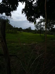 Fazenda / Sítio / Chácara à venda, 49000m² no Área Rural de Valparaíso de Goiás, Valparaíso de Goiás