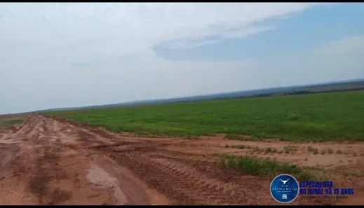 Terreno / Lote / Condomínio à venda, 192m² no Setor Central, Ponte Alta do Tocantins
