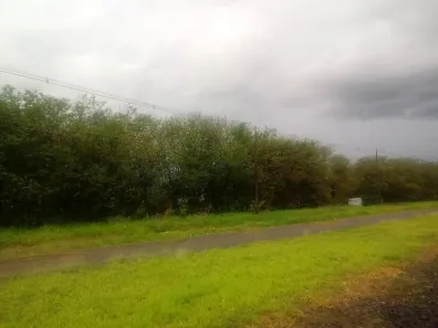 Terreno / Lote / Condomínio para venda ou aluguel, 5000m² no Centro, Ibaté
