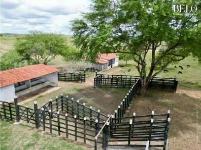 Fazenda / Sítio / Chácara à venda, 150000m² no , Feira Nova