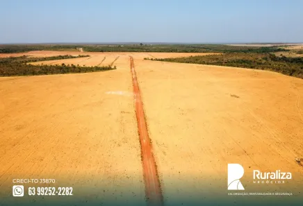 Fazenda / Sítio / Chácara à venda, 1703m² no , Ponte Alta do Tocantins