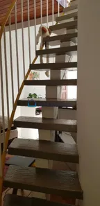 Sobrado com 1 Quarto para alugar, 48m² no Vila Santa Catarina, São Paulo