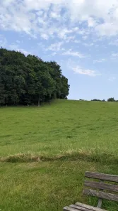 Fazenda / Sítio / Chácara com 2 Quartos à venda, 2000m² no Figueiras, Alumínio