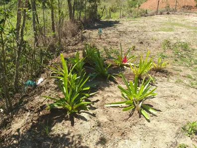 Casa com 1 Quarto à venda, 400m² no São Pedro da Serra, Nova Friburgo