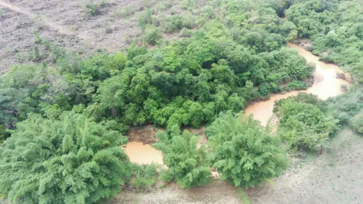 Fazenda / Sítio / Chácara com 4 Quartos à venda, 70000m² no Mansões de Recreio Estrela Dalva VII-A, Novo Gama