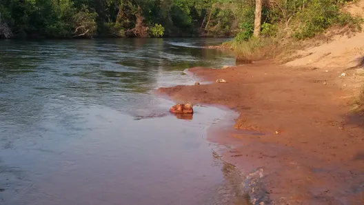 Fazenda / Sítio / Chácara à venda, 245m² no , Ponte Alta do Tocantins