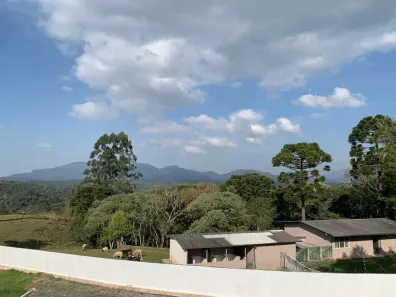Fazenda / Sítio / Chácara com 4 Quartos à venda, 72600m² no Quatro Barras, Quatro Barras