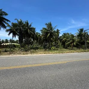 Terreno / Lote Comercial à venda, 54000m² no Olhos d'Água, Barra dos Coqueiros