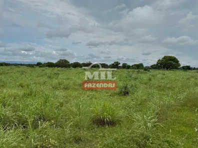 Fazenda / Sítio / Chácara à venda, 500m² no Centro, Formosa
