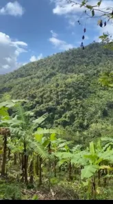 Terreno / Lote / Condomínio à venda, 85m² no , Pacoti