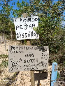 Fazenda / Sítio / Chácara com 4 Quartos à venda, 20000m² no Bom Destino, Santa Luzia
