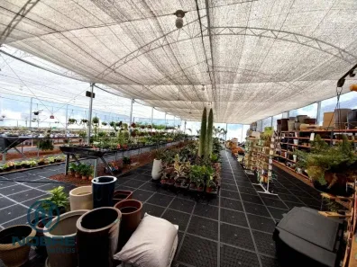 Galpão / Depósito / Armazém para alugar, 731m² no Várzea, Teresópolis