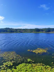 Fazenda / Sítio / Chácara com 4 Quartos à venda, 720000m² no , Brejinho