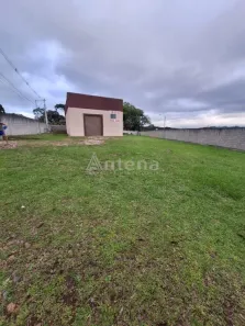 Galpão / Depósito / Armazém à venda, 250m² no Contenda, São José dos Pinhais