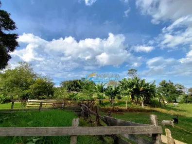 Fazenda / Sítio / Chácara com 2 Quartos à venda, 400m² no , Guaraniaçu