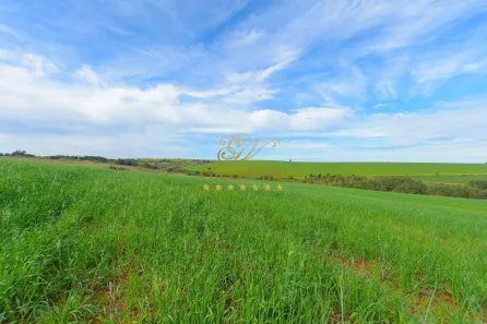 Fazenda / Sítio / Chácara com 4 Quartos à venda, 3146000m² no Colônia Dona Luíza, Ponta Grossa