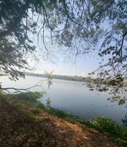 Fazenda / Sítio / Chácara com 3 Quartos à venda, 192m² no , Aparecida do Taboado