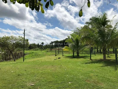 Fazenda / Sítio / Chácara com 2 Quartos à venda, 10m² no Zona Rural, Nazária