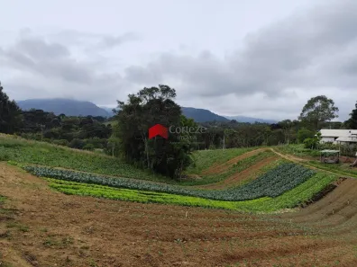 Fazenda / Sítio / Chácara com 4 Quartos à venda, 20000m² no Centro, Tijucas do Sul