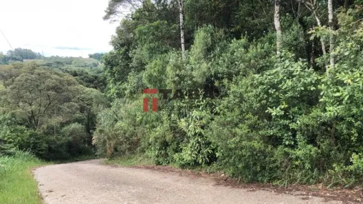 Fazenda / Sítio / Chácara à venda, 7100m² no Botiatuba, Almirante Tamandaré