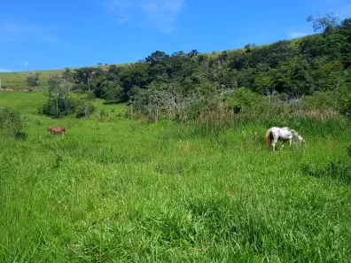 Terreno / Lote / Condomínio à venda, 210000m² no , Areal