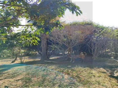 Fazenda / Sítio / Chácara com 1 Quarto à venda, 1500m² no Maracanã, Jarinu