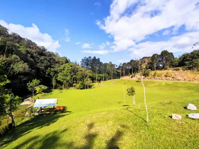 Fazenda / Sítio / Chácara à venda, 72000m² no Colônia Antônio Prado, Almirante Tamandaré
