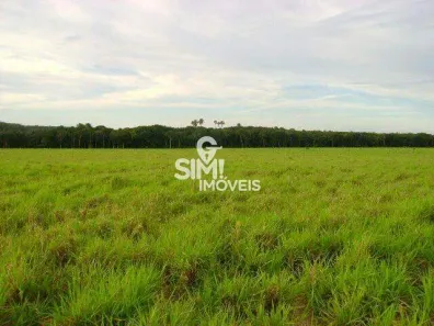 Fazenda / Sítio / Chácara à venda, 1507m² no , Pedro Afonso