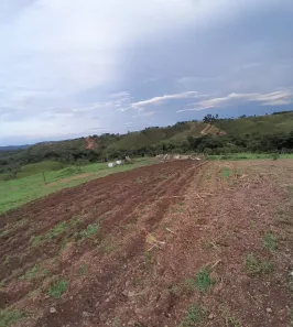 Fazenda / Sítio / Chácara com 3 Quartos à venda, 14000m² no , Brasília
