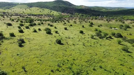 Fazenda / Sítio / Chácara à venda, 2180000m² no Área Rural de Gravatá, Gravatá