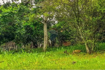 Fazenda / Sítio / Chácara com 2 Quartos à venda, 419m² no Campo Grande, Rio de Janeiro