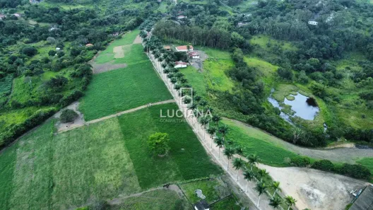 Fazenda / Sítio / Chácara com 3 Quartos à venda, 350000m² no , Chã Grande