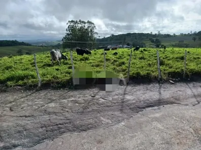 Fazenda / Sítio / Chácara com 5 Quartos à venda, 650000m² no Pau Ferro, Quipapá