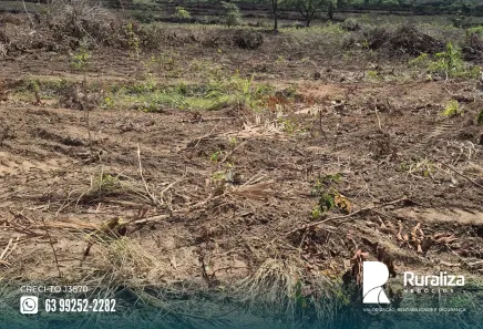 Fazenda / Sítio / Chácara à venda, 474m² no , Rio Sono