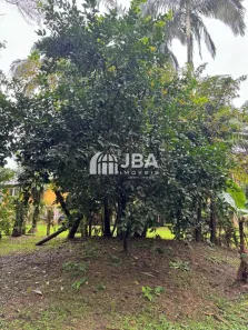 Terreno / Lote / Condomínio à venda, 1365m² no , Guaraqueçaba