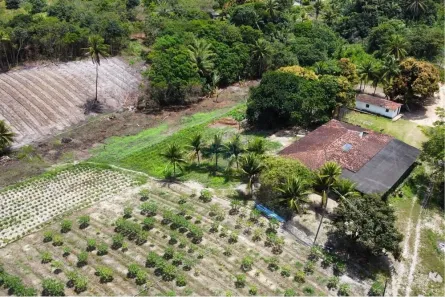 Fazenda / Sítio / Chácara à venda, 160000m² no Jardim Recreio, Conde