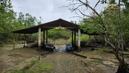 Fazenda / Sítio / Chácara com 4 Quartos à venda, 36469m² no , Antonina