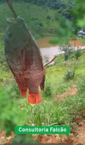 Terreno / Lote / Condomínio à venda, 600m² no , Igaratá