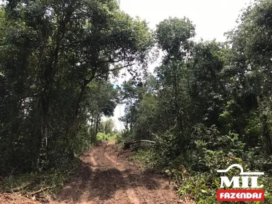 Fazenda / Sítio / Chácara à venda no , Guaraí