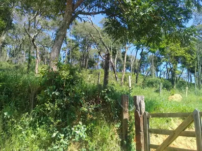 Fazenda / Sítio / Chácara à venda, 53250m² no Estacao de Moreiras, Mairinque