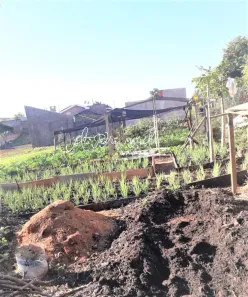 Terreno / Lote / Condomínio à venda, 433m² no Jardim Residencial Boa Vista, Pompéia